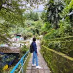 Zoo