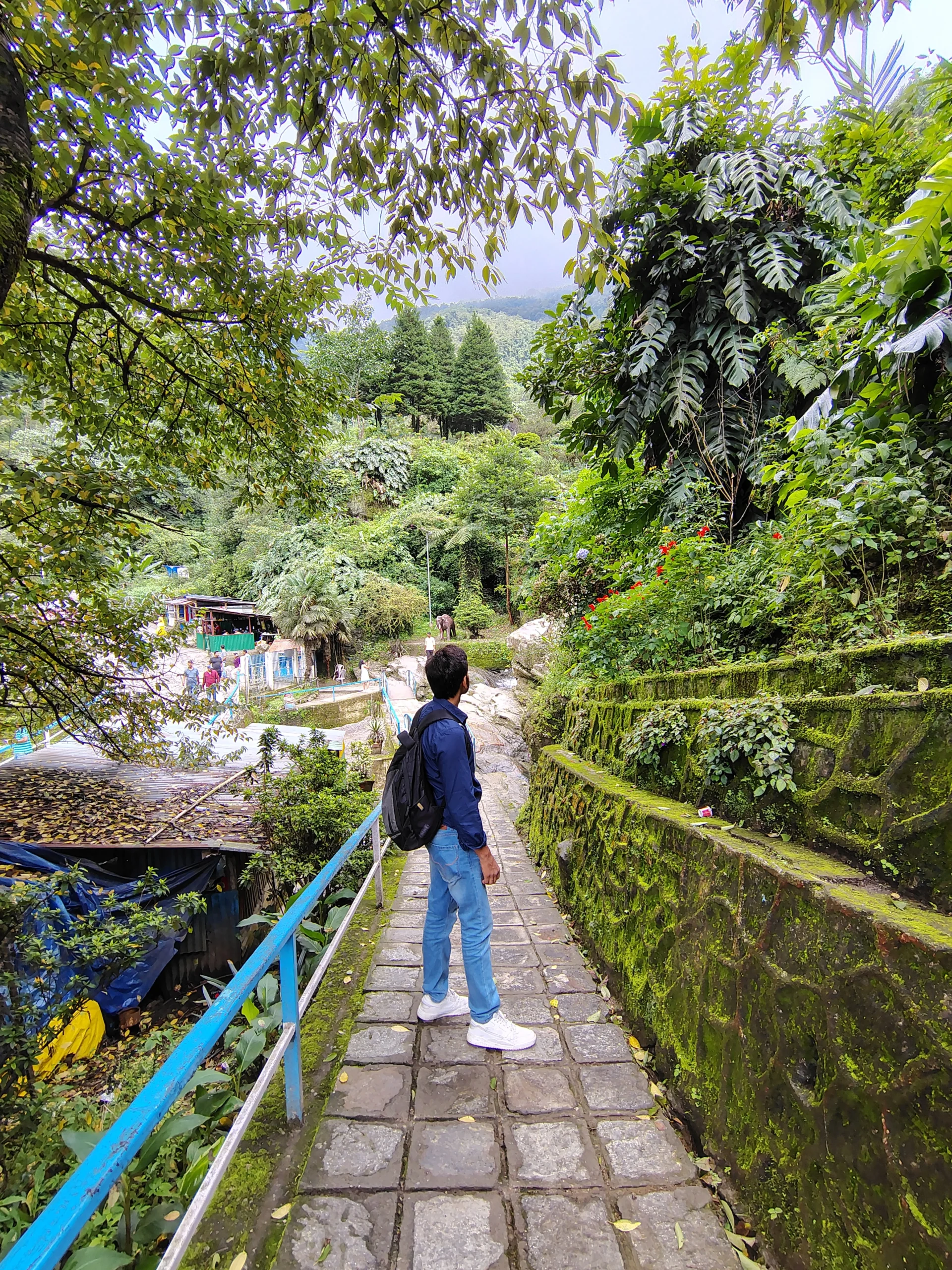 Zoo